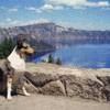 Treve's stop at Crater Lake